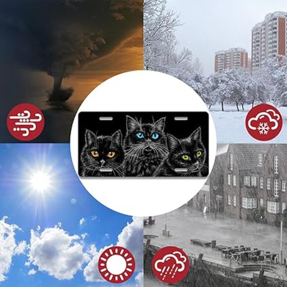 Black Cats Eyes License Plates, Personalized Front Plates License Rust-Proof - Picture 5 of 6